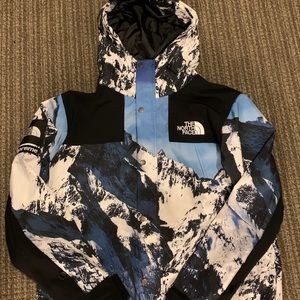 Supreme x the north face mountain parka